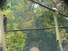 CANOPY WALKWAY