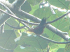 P1030089_2_thumb.png