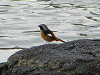 P1050295-s_thumb.png