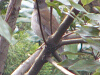 P1060250_thumb.png