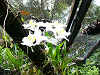 P1070050_thumb.png