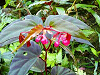 P1070051_thumb.png