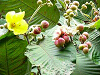 P1070059_thumb.png