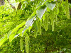 P1070387_thumb.png